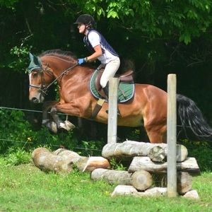 Meet your Posher, Anna